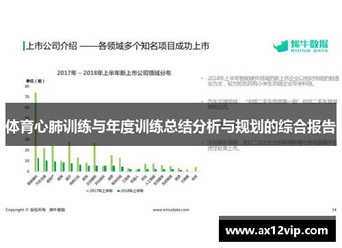 体育心肺训练与年度训练总结分析与规划的综合报告